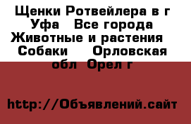 Щенки Ротвейлера в г.Уфа - Все города Животные и растения » Собаки   . Орловская обл.,Орел г.